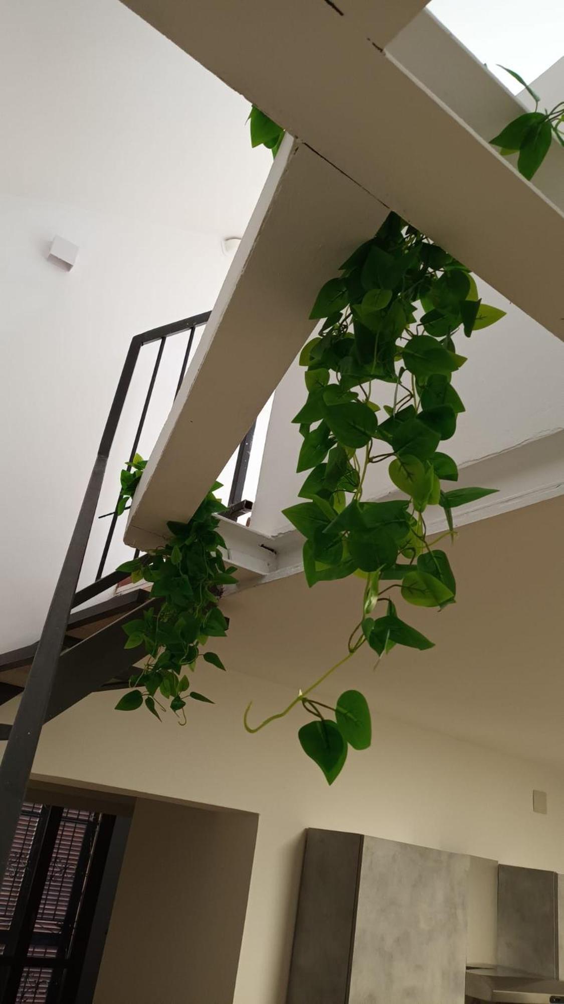 Casa N 1 Con Parcheggio Privato E Colonnina Ricarica Lejlighed Livorno Eksteriør billede